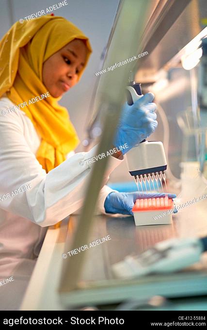 Female scientist in hijab filling pipette tray at fume hood in laboratory