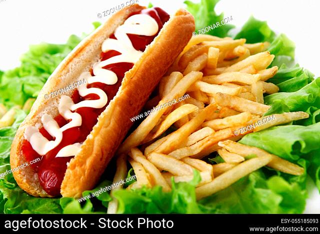 Fresh and tasty hot dog with fried potatoes on the salad leaves