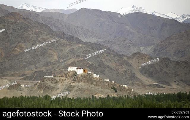 Thiksey Gompa in the Himalayas, Ladakh, India, Asia