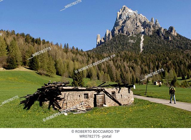Italy, Trentino Alto Adige, Val Canali, Cimerlo mount