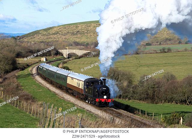 A class M7 tank locomotive number 30053 heads the 12. 15pm steam train from Corfe Castle to Swanage on the Swanage Railway on the 27th December 2014