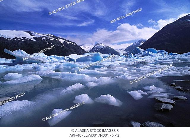 Icebergs Portage Lake Portage Glacier SC AK