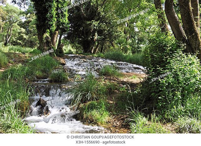 waterfall in the forest around Ifrane, Middle Atlas, Morocco, North Africa