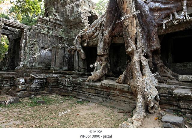 Preah Khan, Angkor, Siem Reap, Cambodia