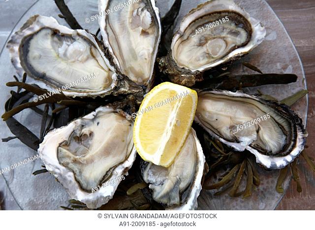 France, Poitou Charente region, department of Charente Maritime (17), Oleron island, gastronomic restaurant Relais des Salines, oysters