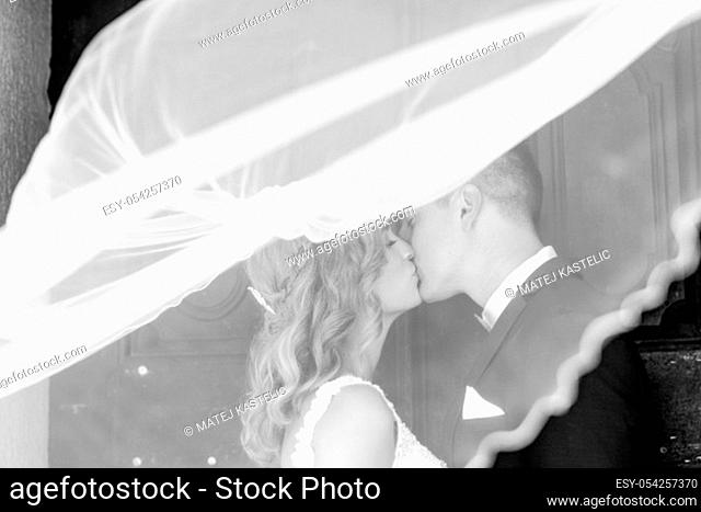The Kiss. Bride and groom kisses tenderly in the shadow of a flying veil. Close up portrait of sexy stylish wedding couple kissing under white vail