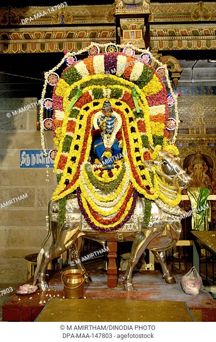 Decorated goddess Parvati mounted on silver rishaba vahanam during Ganesh festival in Sri Karpaga vinayagar Ganesha temple in Pillaiyarpatti ; Tamil Nadu ;...