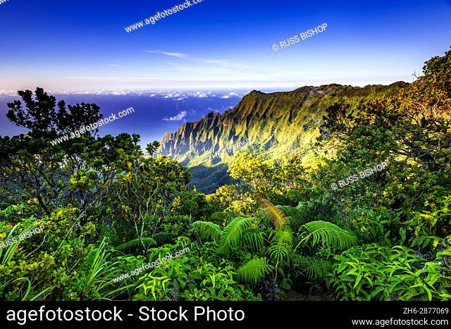 Kalalau Valley and the Na Pali Coast from the Pihea Trail, Kokee State Park, Kauai, Hawaii USA