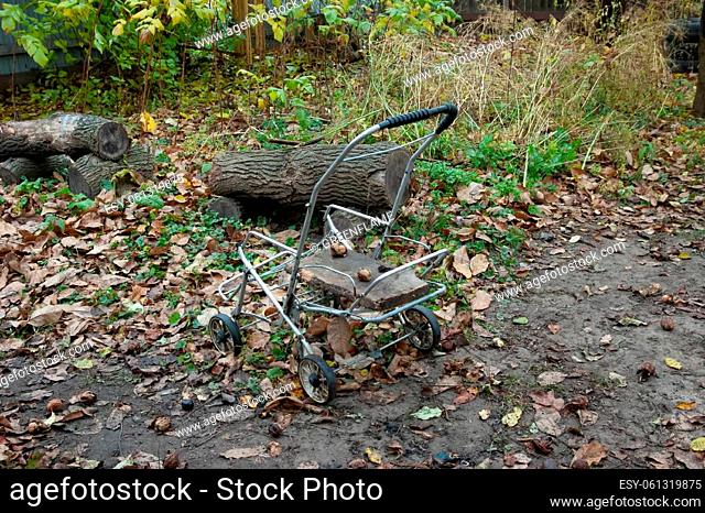 garden cart with two walnuts in the garden in early fall