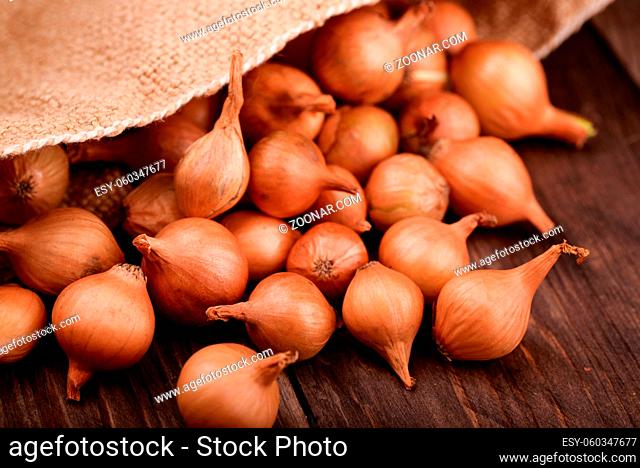 Close up of onion sets on wooden background