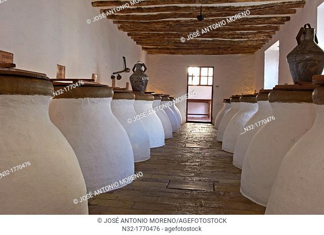 Cellar of Núñez de Prado olive oil, Baena, Route of the Caliphate, Cordoba province, Andalusia, Spain