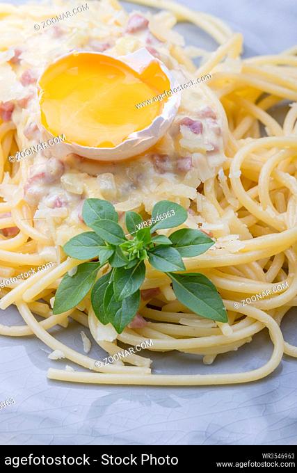 Spaghetti Carbonara auf einem grauen Teller