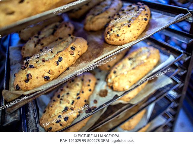 18 October 2019, Saxony, Dresden: Freshly baked Christmas stollen lie on transport trolleys in the Dresden baking house at the open window and cool down