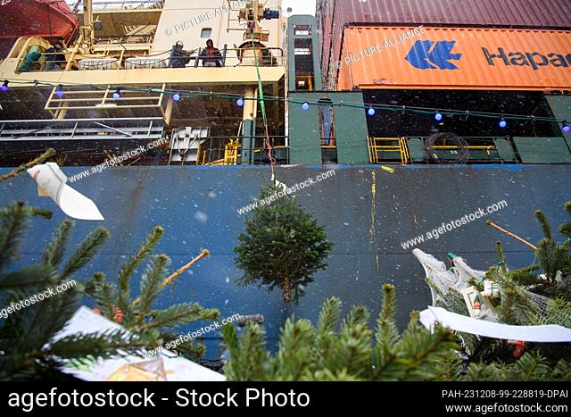 08 December 2023, Hamburg: A Christmas tree is delivered by crane to seafarers on a container ship from the deck of a Rainer Abicht excursion ship during the...