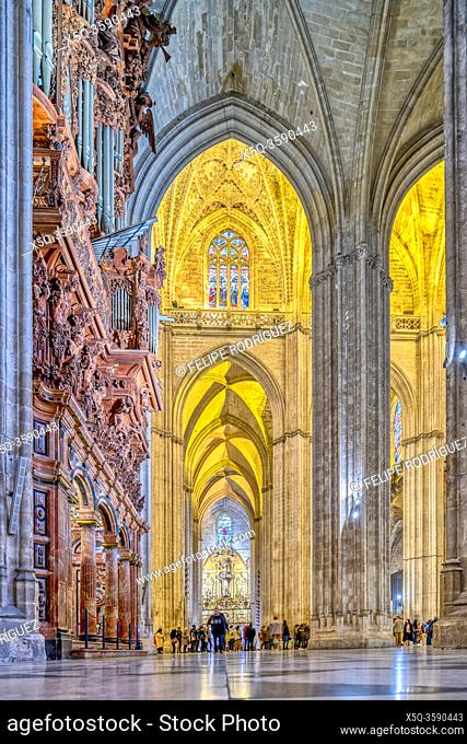 South aisle and organ of Seville Cathedral, Spain