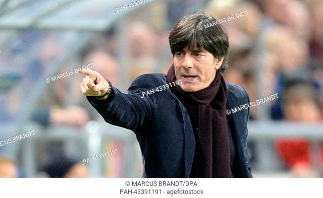 Germany's head coach Joachim Loew during the World Cup group C qualification match at Friends Arena Solna in Stockholm, Sweden, 15 October 2013