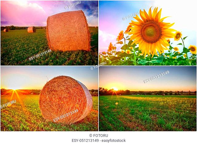 collage of stacks of hay and fields of sunflowers