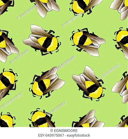 Bee pattern background. seamless pattern, funny bzz bumblebees