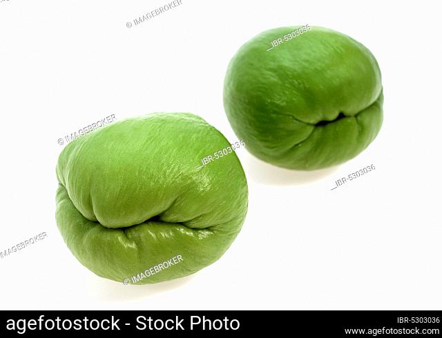 Chayote (sechium edule), Mexican fruit against white background