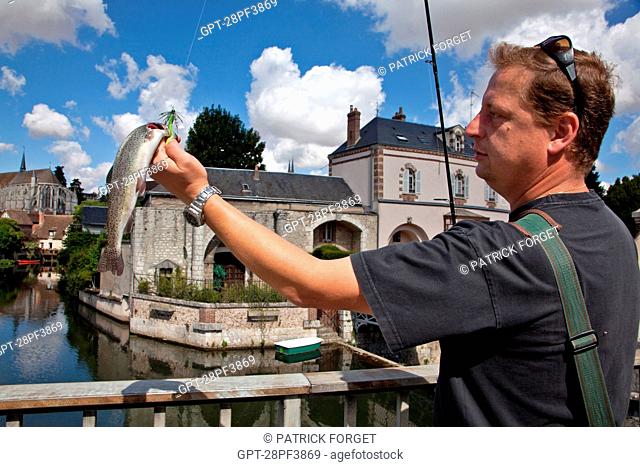 TROUT FISH CAUGHT BY A FISHERMAN IN THE EURE RIVER, STREET-FISHING, CHARTRES LOWER TOWN, EURE-ET-LOIR 28, FRANCE