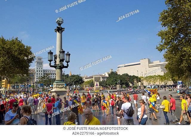 Spain , Barcelona City, Diada celebration 2014, Canaletas and Catalunya square