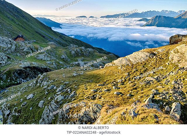 Italy, Trentino, Stelvio National Park, Lago Corvo Valley from Lago Corvo Hut ( on the left -2425 m