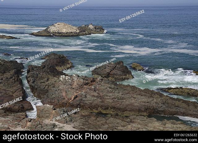 Rocky cliffs in the coast. Las Cuevas. Arica. Arica y Parinacota Region. Chile