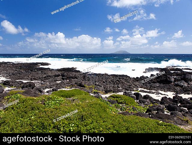 Mauritius. Tropical plants at the stony sea edge