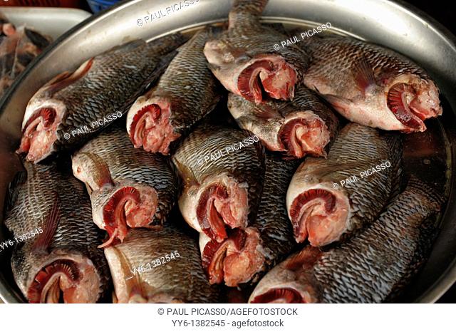 Scaled Tilapia , clean Tilapia fish , klong toei market klong toey , bangkok , thailand