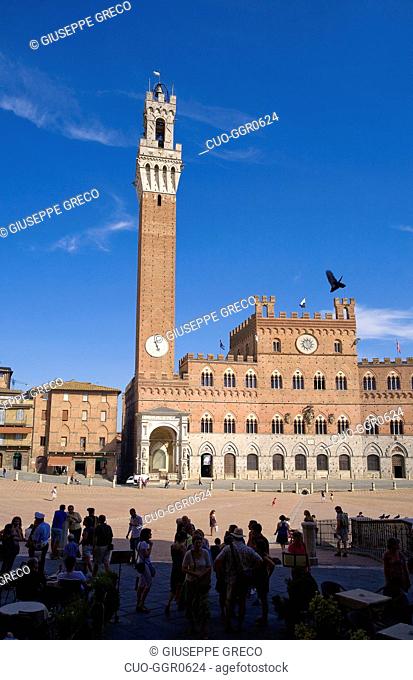 Piazza del Campo square, Siena city, Tuscany, Italy, Europe