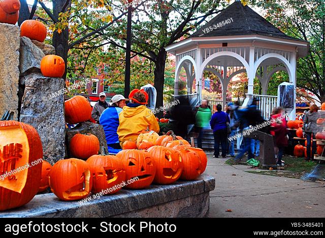 Hundreds of carved pumpkins are placed in a park at a fall festival in Keene New Hampshire