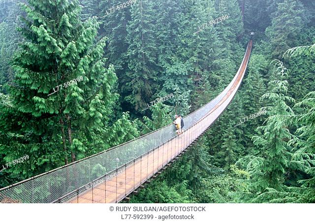 Capilano suspension bridge. Vancouver. British Columbia. Canada