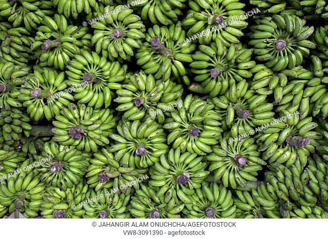 A banana vendor in green banana background that's why he showing branches of Ripe bananas at Dhaka, Bangladesh
