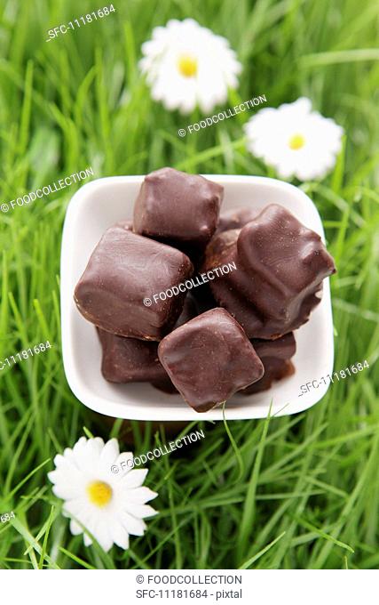 Filled chocolates on artificial grass