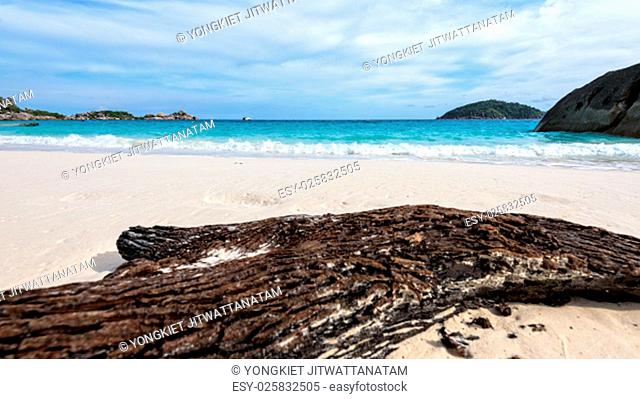 Old driftwood blue sea white sand and waves on the beach, beautiful nature during summer at Koh Miang island in Mu Ko Similan National Park, Phang Nga province