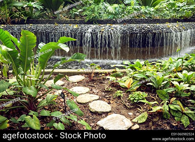 stone steps pathway leading to the artificial water cascade in Singapore Botanical garden