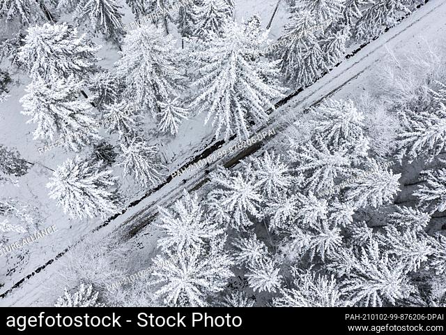02 January 2021, Hessen, Kiedrich: The coniferous forest near Kiedrich is covered with snow after the persistent precipitation of the past few days (aerial...