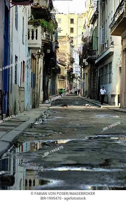 Street in the old town of Havana, Cuba, Caribbean