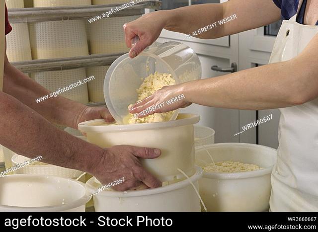 Germany, Baden Wuerttemberg, Workers making cheese in industry, close up
