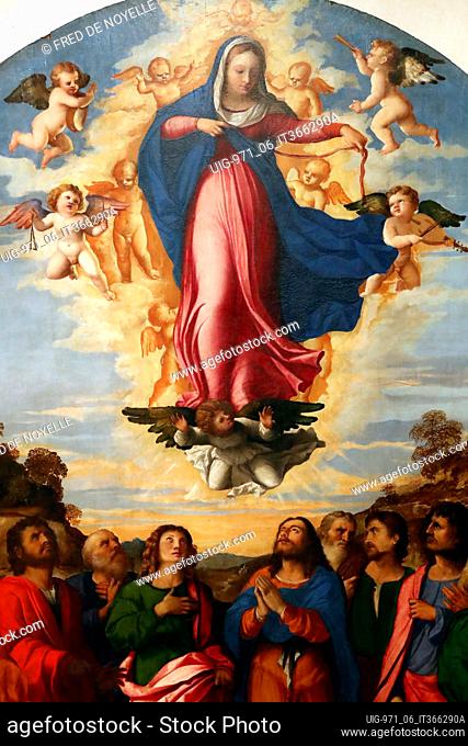 Gallerie dell'Accademia. The Assumption of the Virgin, by Palma il Vecchio Serina 1513.