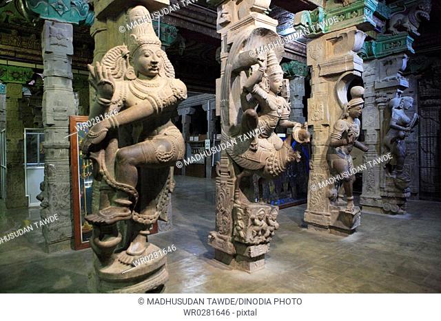 Statues in art Museum 1000 pillared hall in Meenakshi Amman Temple built in 1623-55 , Madurai , Tamil Nadu , India