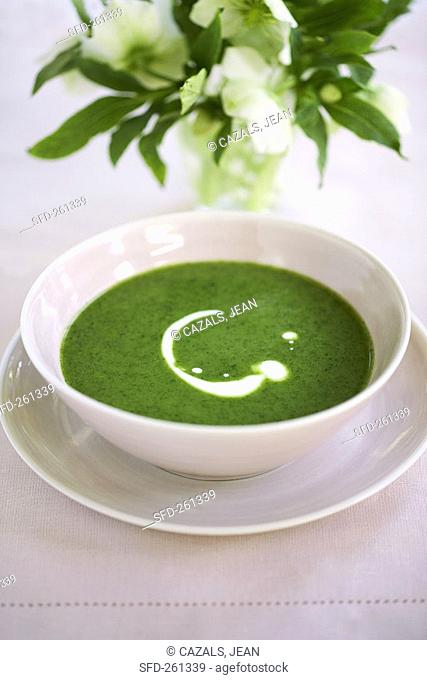 Watercress soup with blob of cream