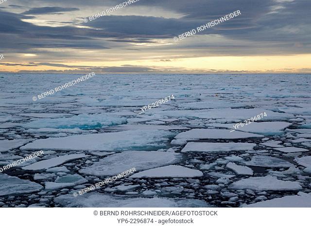 Arctic Ocean with ice floes in evening light, Erik Eriksenstretet, Svalbard