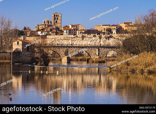 Cathedral, Stone bridge, Duero river Zamora city, Zamora Provience, Castile and Leon, Spain, Europe