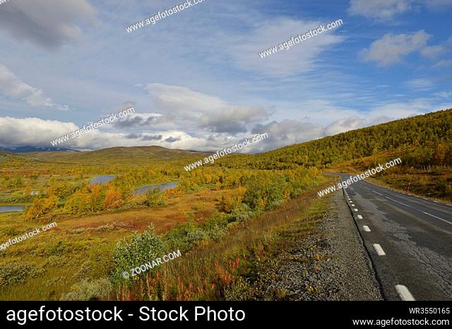 Auf der Wildnisstraße (schwedisch Vildmarksvaegen) entlang der Schwedisch-norwegischen Grenze . Vildmarksvägen in sweden in autumn