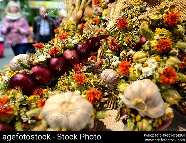 13 October 2023, Thuringia, Weimar: Colorful braids of onions and garlic cloves lie for sale at a market stall at the 370th Weimar Onion Market
