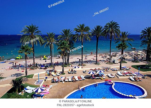 High angle view of tourists on beach, Playa den Bossa, Ibiza, Balearic Islands, Spain