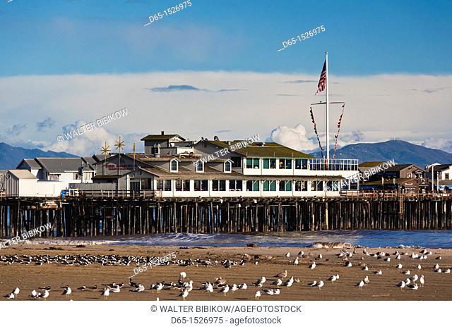 USA, California, Southern California, Santa Barbara, Harbor and Stearns Wharf