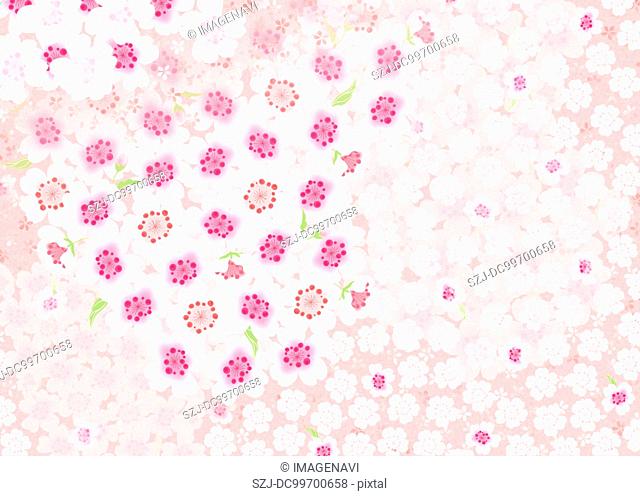 Oriental background with cherry blossom