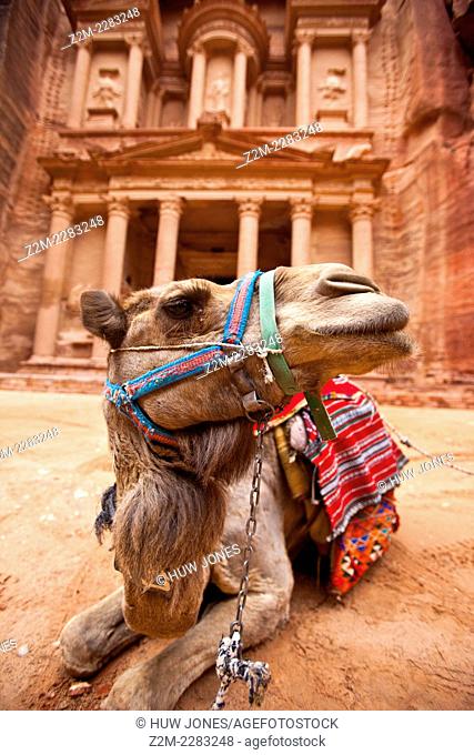 Camel resting outside the Treasury (Al-Khazneh), Petra